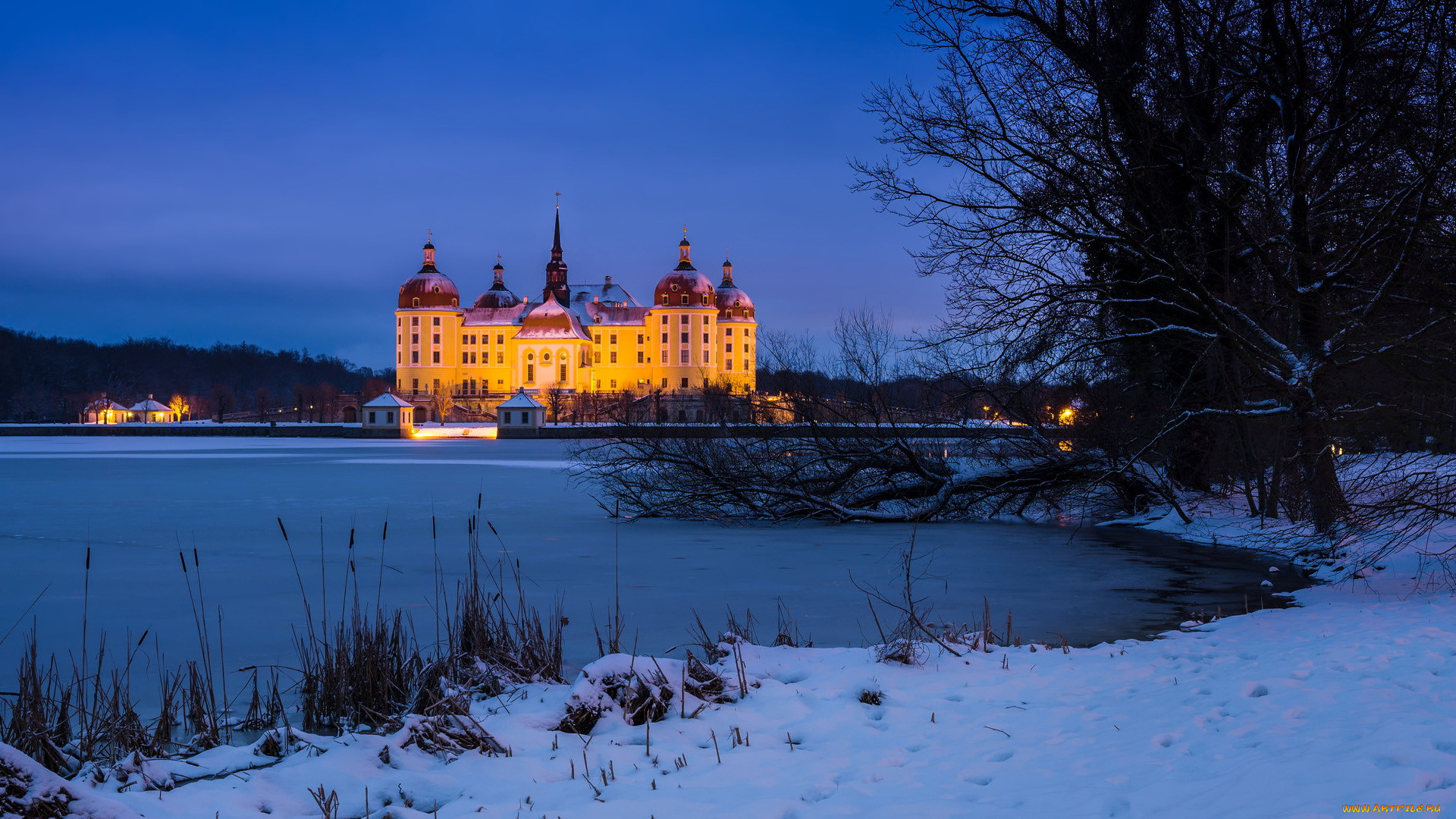 moritzburg castle, germany, ,   , , moritzburg, castle